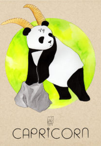 Panda Capricorn